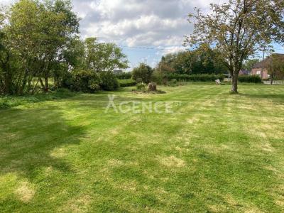 For sale Renescure 750 m2 Nord (59173) photo 3