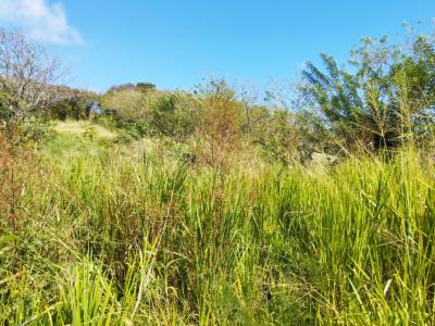 For sale Vauclin 1299 m2 Martinique (97280) photo 0