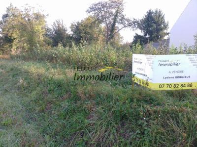 For sale Coulommiers 1400 m2 Seine et marne (77120) photo 1