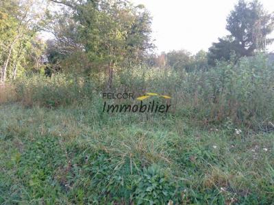 For sale Coulommiers 1400 m2 Seine et marne (77120) photo 2