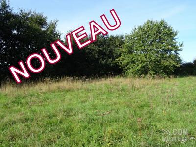 For sale Savenay 455 m2 Loire atlantique (44260) photo 0