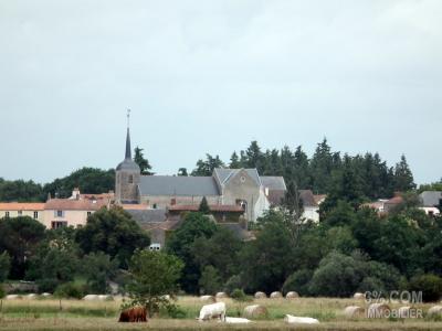 Acheter Terrain Cheix-en-retz Loire atlantique