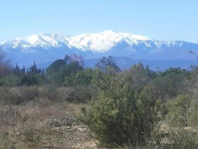 For sale Pollestres 32767 m2 Pyrenees orientales (66450) photo 0