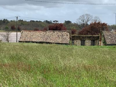 For sale Saint-bonnet-sur-gironde Charente maritime (17150) photo 3