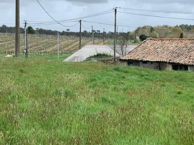 For sale Saint-bonnet-sur-gironde Charente maritime (17150) photo 4