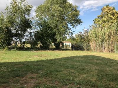 For sale Ronde 500 m2 Charente maritime (17170) photo 1
