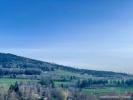 For sale Land Wisembach  1200 m2