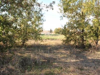 For sale Negrepelisse Tarn et garonne (82800) photo 1