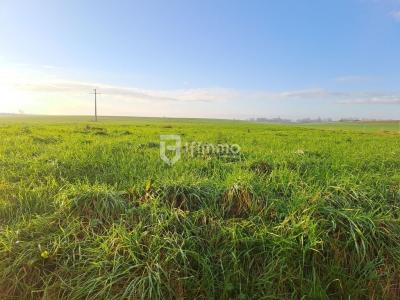 For sale Anneux BOURSIES 455 m2 Nord (59400) photo 0