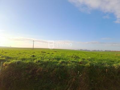 For sale Anneux BOURSIES 455 m2 Nord (59400) photo 1