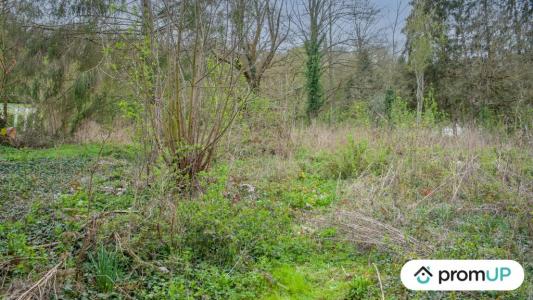 For sale Catenoy 1049 m2 Oise (60600) photo 2