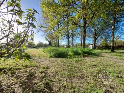 For sale Landiras 7 rooms 190 m2 Gironde (33720) photo 0