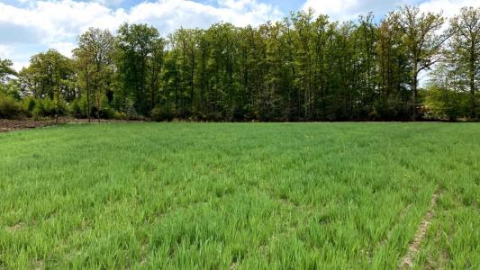 For sale Douchy-les-mines 576 m2 Nord (59282) photo 0
