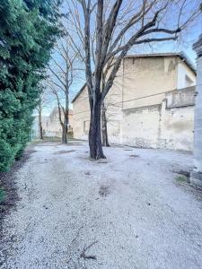 Acheter Maison 373 m2 Avignon