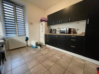 Annonce Location Appartement Epinal 88