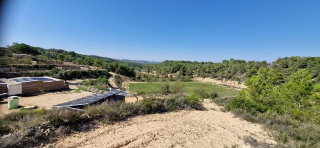 For sale Boulou 21512 m2 Pyrenees orientales (66160) photo 1