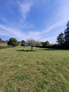 For sale Titre 3459 m2 Somme (80132) photo 4