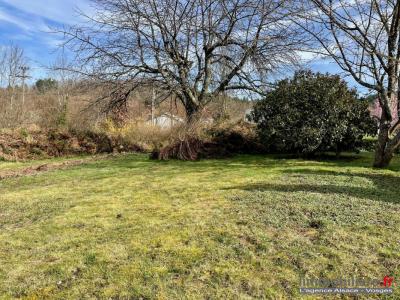 For sale Coinches 571 m2 Vosges (88100) photo 0