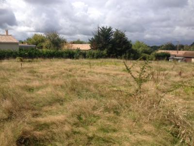 For sale Salles 1135 m2 Gironde (33770) photo 0