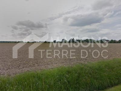 For sale Ville-dieu-du-temple 798 m2 Tarn et garonne (82290) photo 0