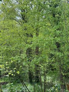 Acheter Terrain Faloise Somme