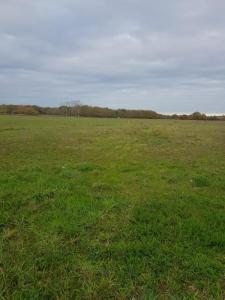 For sale Pian-medoc 750 m2 Gironde (33290) photo 2