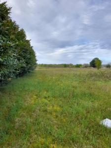 For sale Abzac 325 m2 Gironde (33230) photo 0