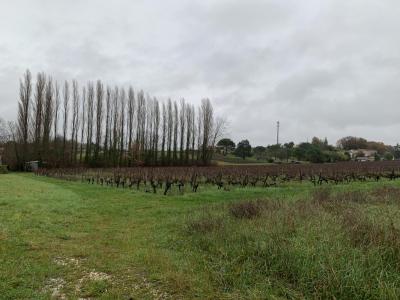 For sale Lugon-et-l'ile-du-carnay 520 m2 Gironde (33240) photo 0