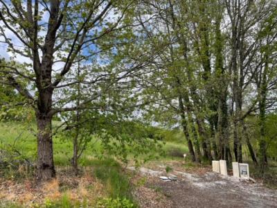 Annonce Vente Terrain Moissac 82