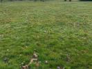 For sale Land Chanoz-chatenay  800 m2