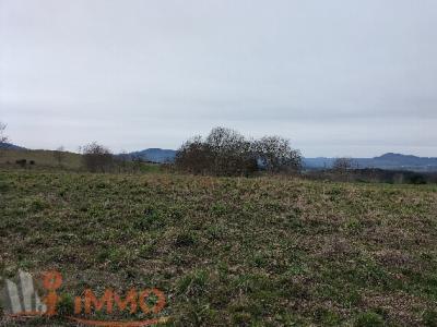 Annonce Vente Terrain Saint-maurice-de-lignon 43