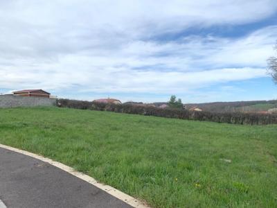 For sale Mably 611 m2 Loire (42300) photo 1