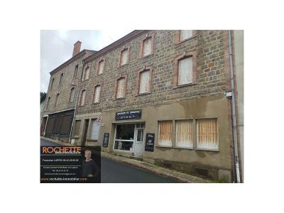 For sale Sail-sous-couzan 7 rooms 454 m2 Loire (42890) photo 1