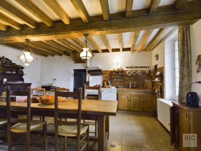 Acheter Maison Saint-benoit-sur-loire 395000 euros