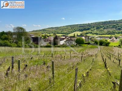 For sale Chassey-le-camp 17 rooms 428 m2 Saone et loire (71150) photo 2