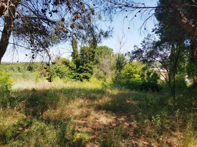 For sale Beziers 431 m2 Herault (34500) photo 0
