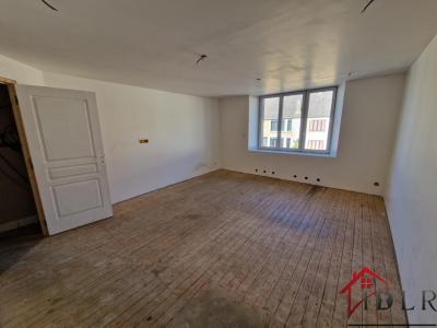 For sale Ranconnieres 4 rooms 420 m2 Haute marne (52140) photo 3
