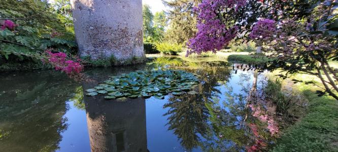 For sale Romorantin-lanthenay 7 rooms 198 m2 Loir et cher (41200) photo 3