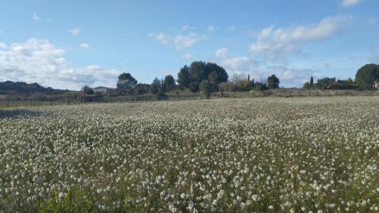 For sale Roujan 4 rooms 90 m2 Herault (34320) photo 2