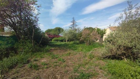 For sale Saussines 847 m2 Herault (34160) photo 1