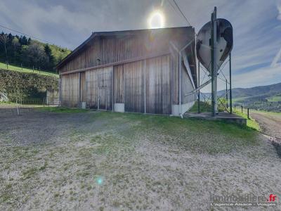 Acheter Maison 200 m2 Sainte-marie-aux-mines