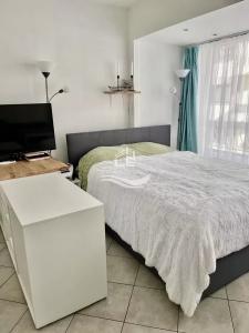 For rent Nice CARRA D'OR 1 room 35 m2 Alpes Maritimes (06000) photo 3