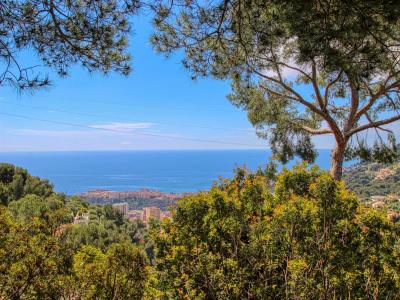 For sale Beausoleil 5 rooms 200 m2 Alpes Maritimes (06240) photo 1