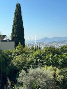 Vacation rentals Cannet 5 rooms 240 m2 Alpes Maritimes (06110) photo 3
