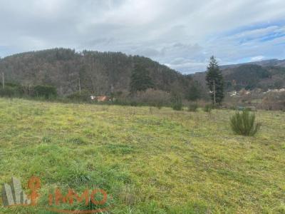 Annonce Vente Terrain Saint-maurice-de-lignon 43