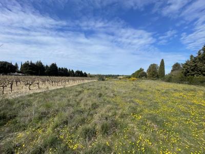 Acheter Terrain 450 m2 Chateauneuf-de-gadagne