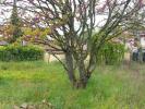 For sale Land Reyrieux 