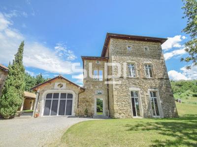 For sale Eyzin-pinet 8 rooms 315 m2 Isere (38780) photo 0