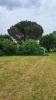 For sale Land Saint-loubes  500 m2