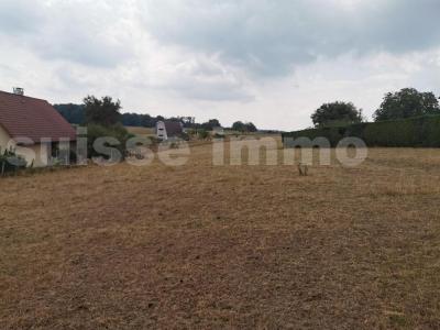 Acheter Terrain 4220 m2 Isle-sur-le-doubs